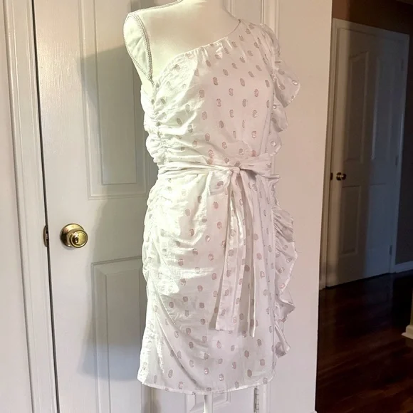 “LOVERS + FRIENDS” X Revolve Whitney Rose Dress - Picture 8 of 16